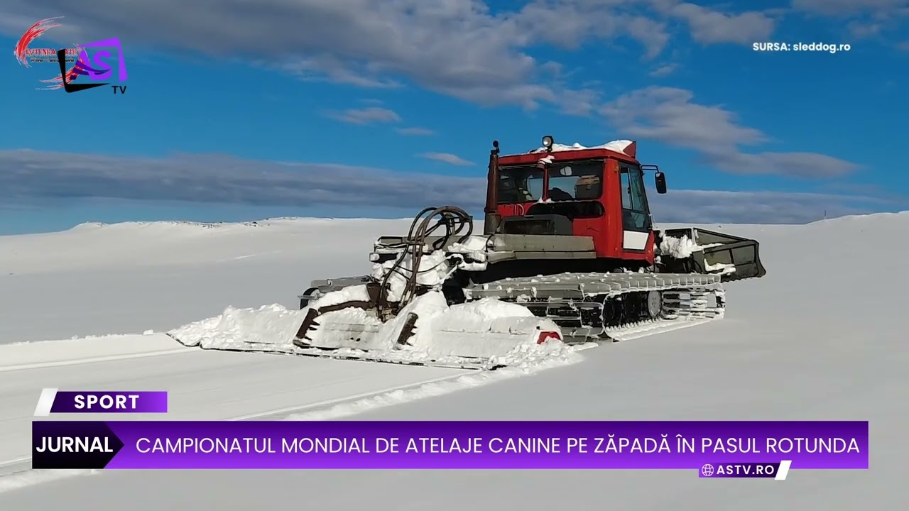 Campionatul Mondial de Atelaje Canine pe Zăpadă în Pasul Rotunda