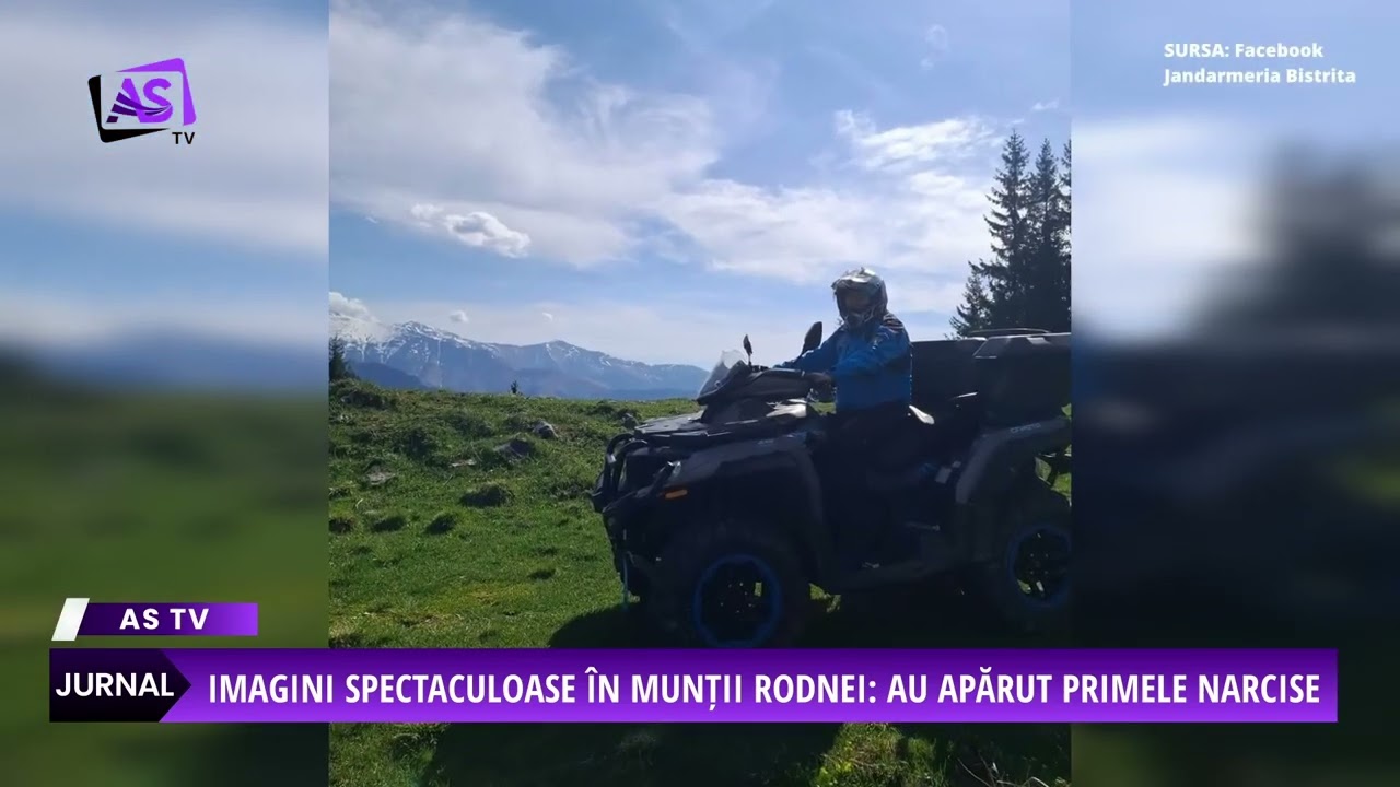 Imagini spectaculoase în Munții Rodnei: au apărut primele narcise