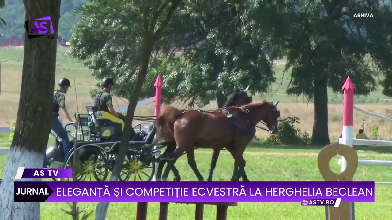 Eleganță și competiție ecvestră la Herghelia Beclean