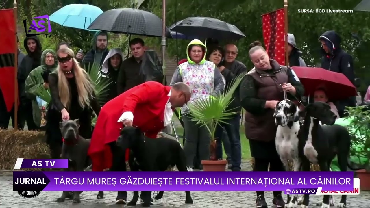 Târgu Mureș găzduiește festivalul internațional al câinilor