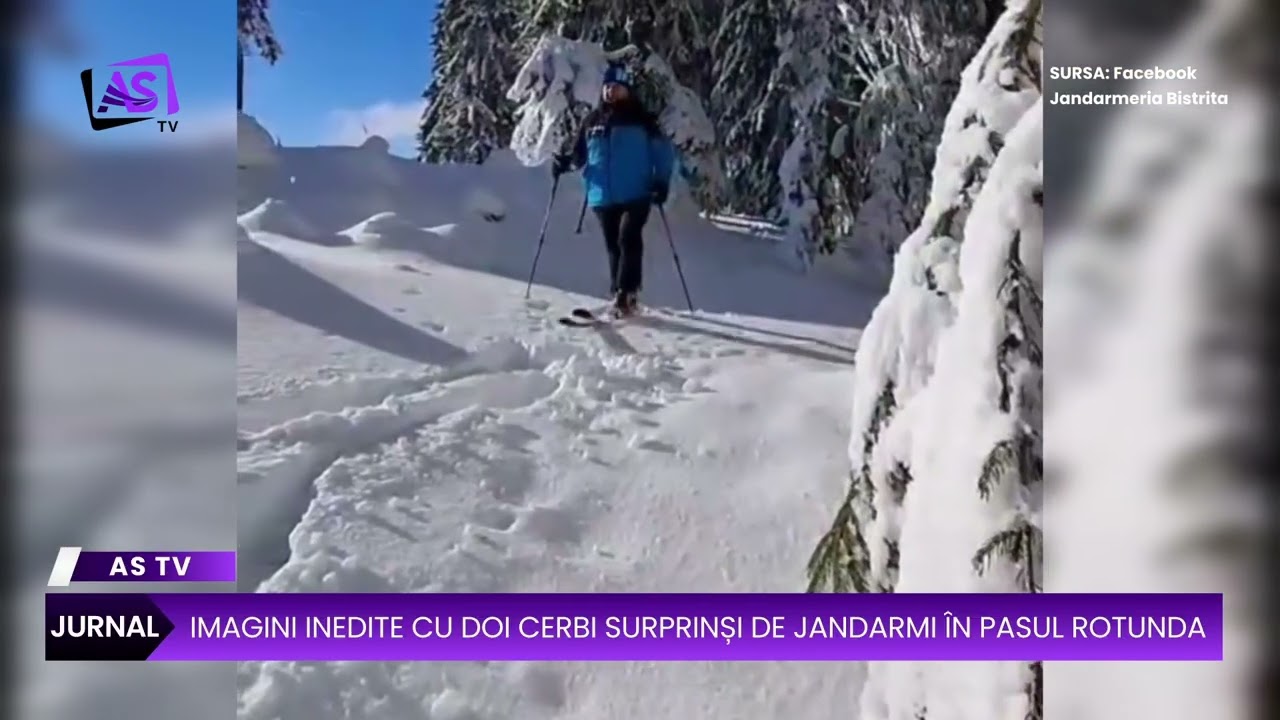 Imagini inedite cu doi cerbi surprinși de jandarmi în Pasul Rotunda