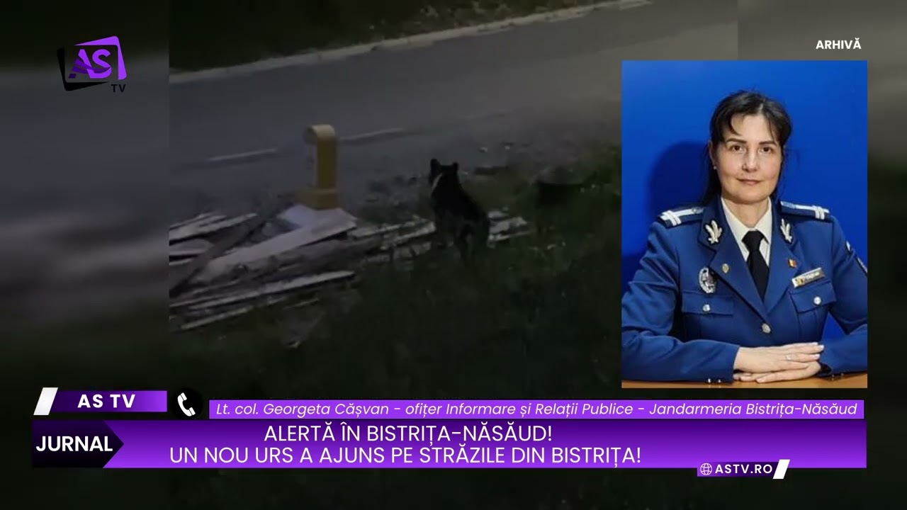 Alertă în Bistrița-Năsăud! Un nou urs a ajuns pe străzile din Bistrița!
