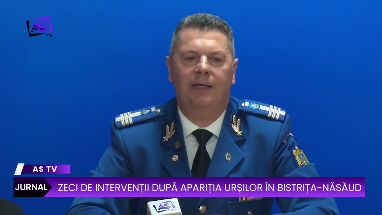Zeci de intervenții după apariția urșilor în Bistrița-Năsăud