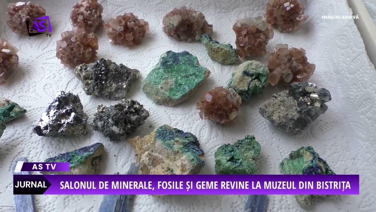 Salonul de Minerale, Fosile și Geme revine la Muzeul din Bistrița