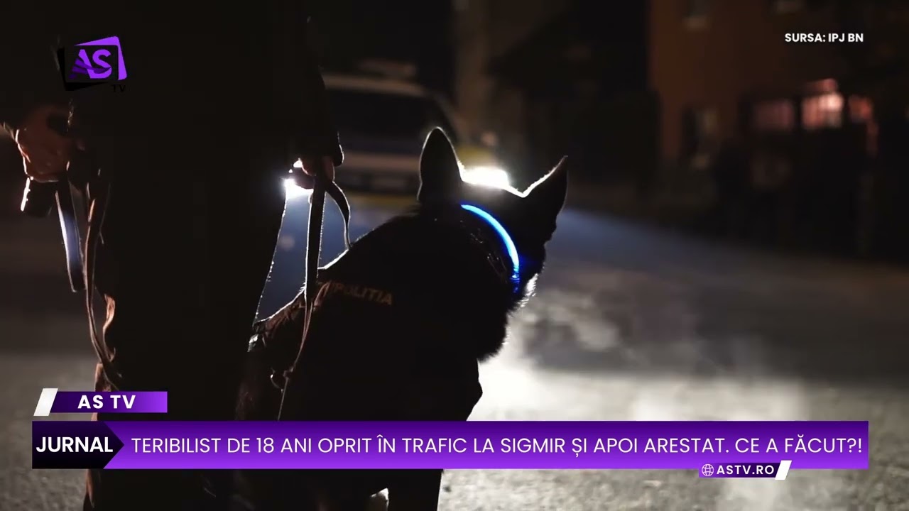 Teribilist de 18 ani oprit în trafic la Sigmir și apoi arestat. Ce a făcut?!