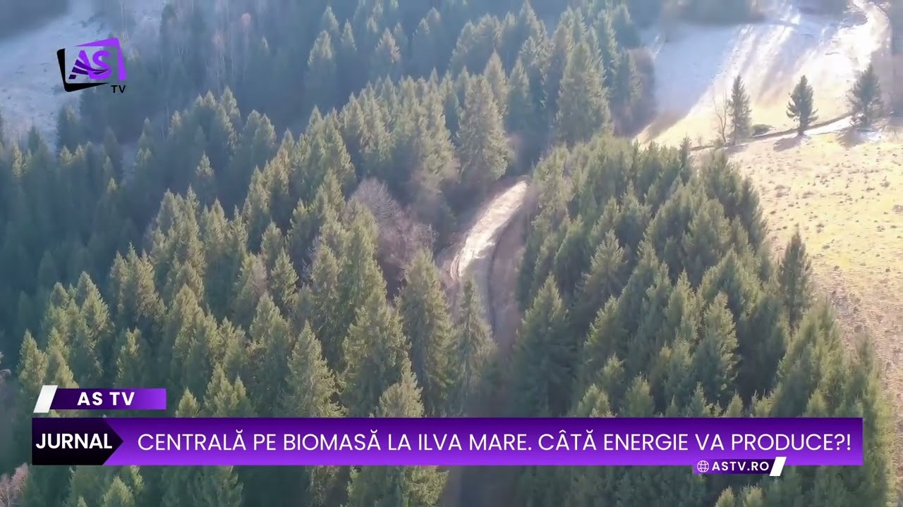 Centrală pe biomasă la Ilva Mare. Câtă energie va produce?!