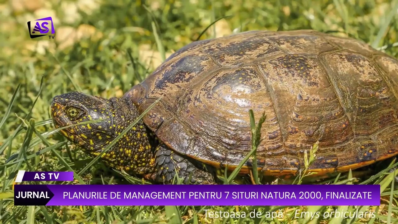 Planurile de management pentru 7 situri Natura 2000, finalizate
