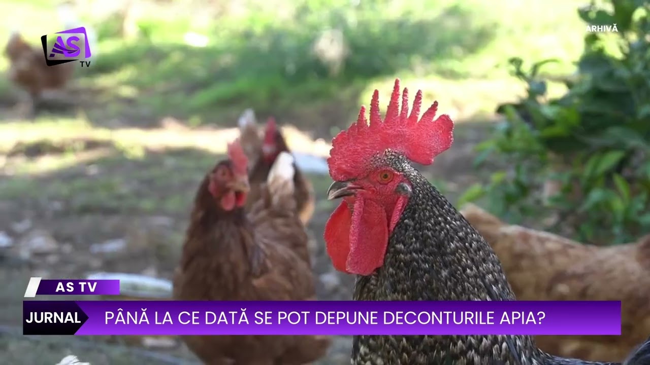 Până la ce dată se pot depune deconturile APIA?